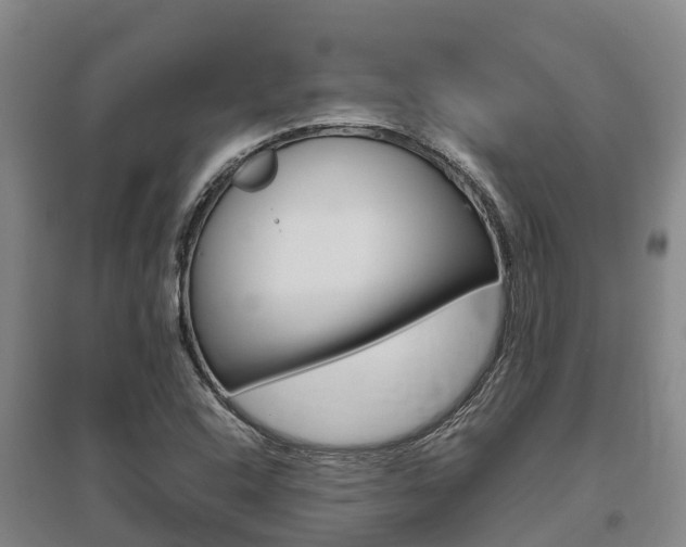 X0000095891408200801110818