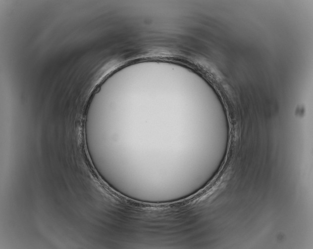 X0000095891409200801110818