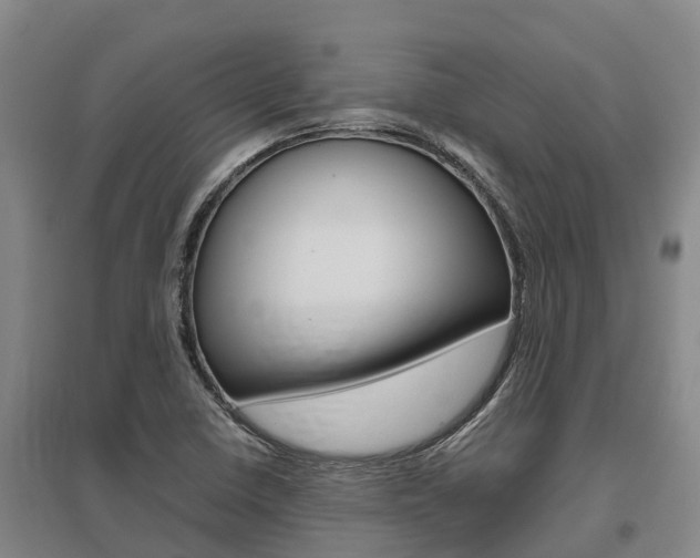 X0000095891410200801110818