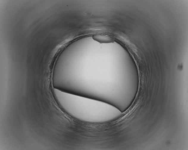 X0000095891411200801110818
