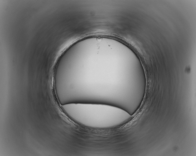 X0000095891413200801110818