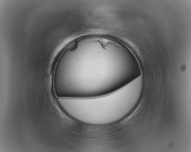 X0000095891414200801110818
