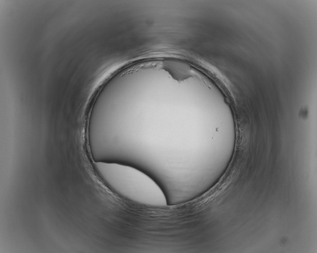 X0000095891415200801110818