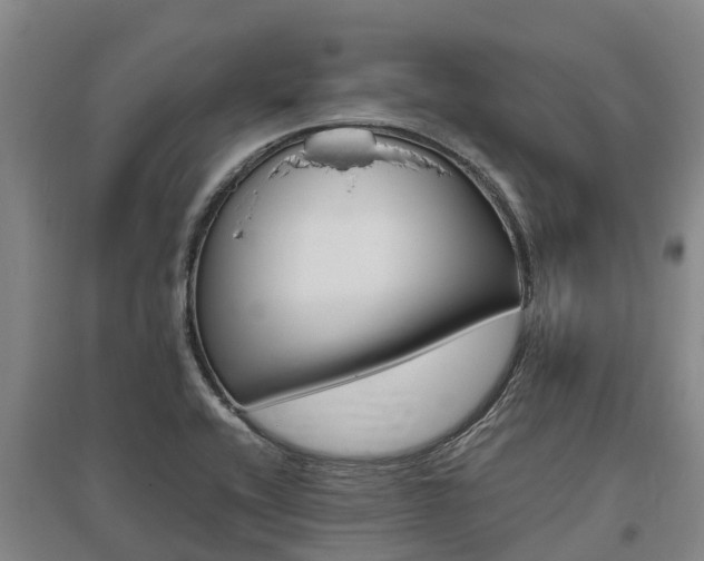 X0000095891416200801110818