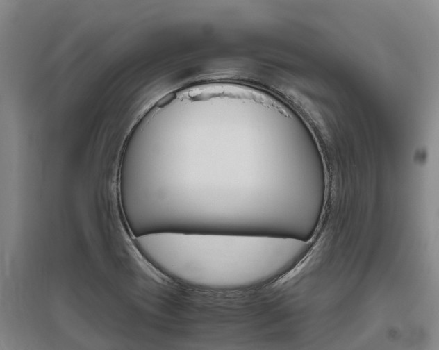 X0000095891417200801110818