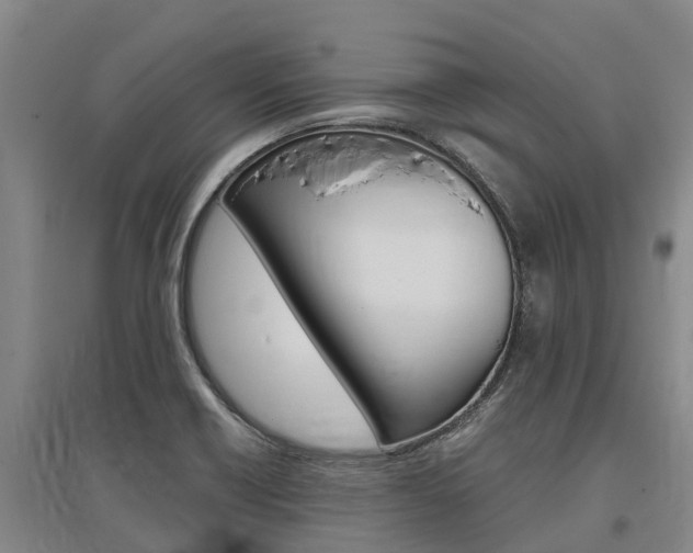 X0000095891418200801110818