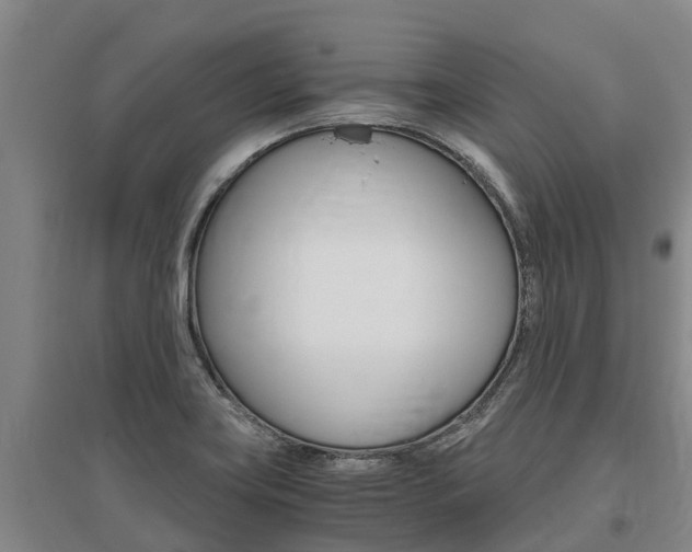 X0000095891419200801110818