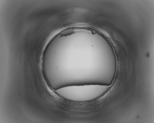 X0000095891421200801110818
