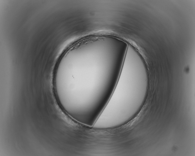 X0000095891422200801110818