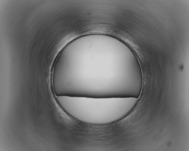 X0000095891423200801110818