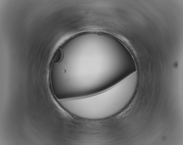 X0000095891424200801110818