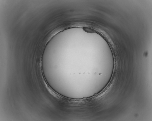 X0000095891425200801110818