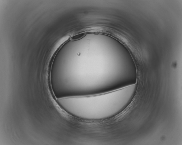 X0000095891426200801110818