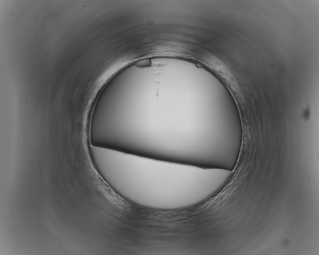 X0000095891427200801110818