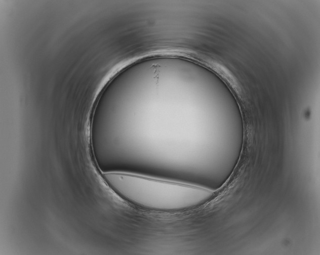 X0000095891428200801110818