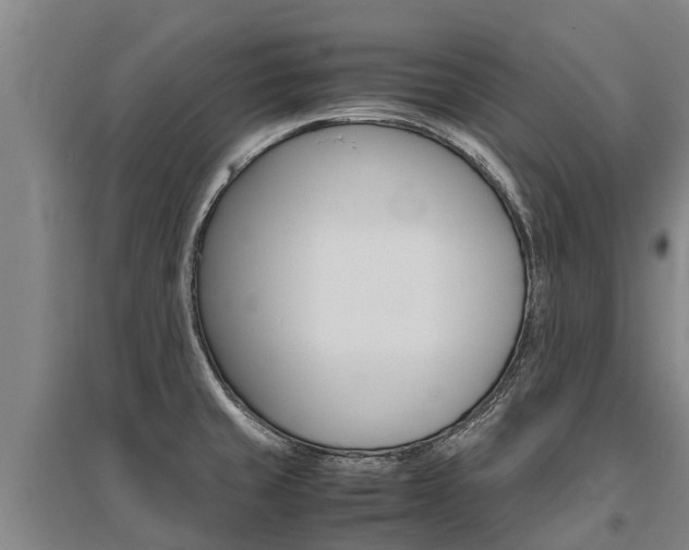 X0000095891429200801110818