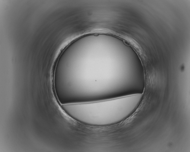 X0000095891430200801110818