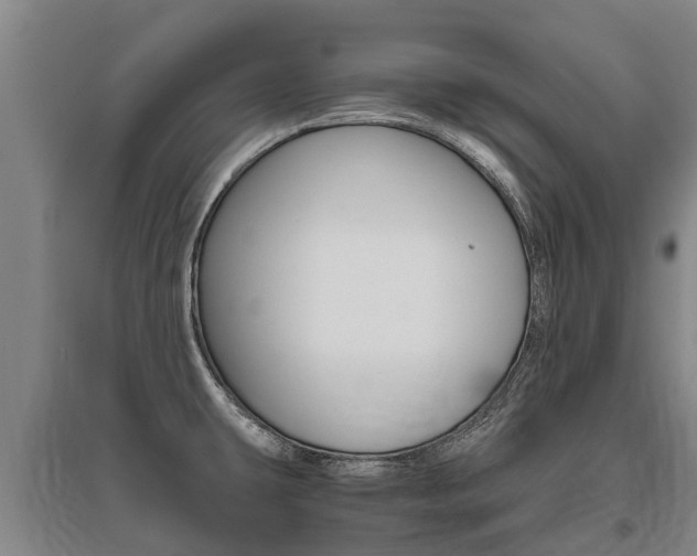 X0000095891431200801110818