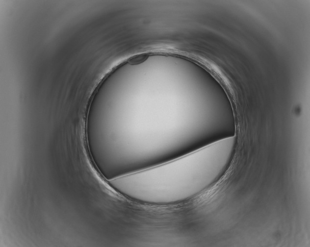 X0000095891432200801110818