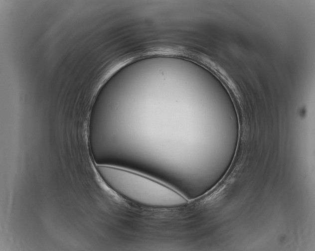 X0000095891433200801110818