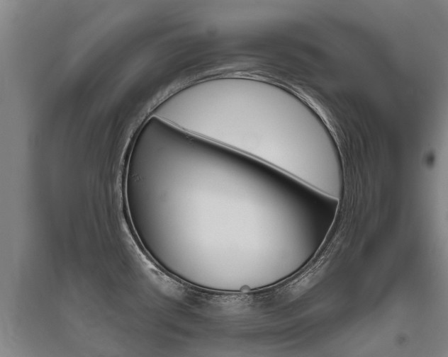 X0000095891434200801110818
