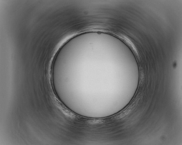 X0000095891435200801110818