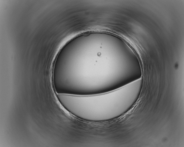 X0000095891437200801110818