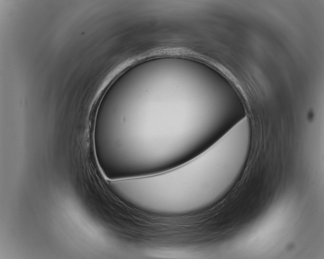 X0000095891438200801110818