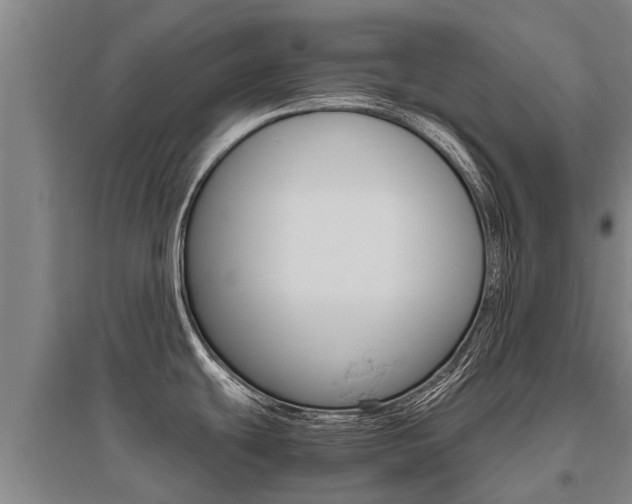 X0000095891439200801110818