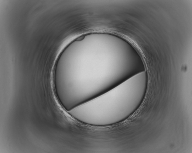 X0000095891440200801110818