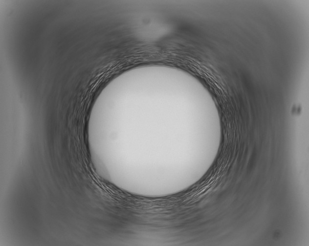X0000095891441200801110817