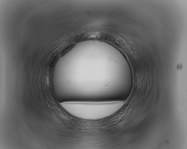 X0000095891442200801110817