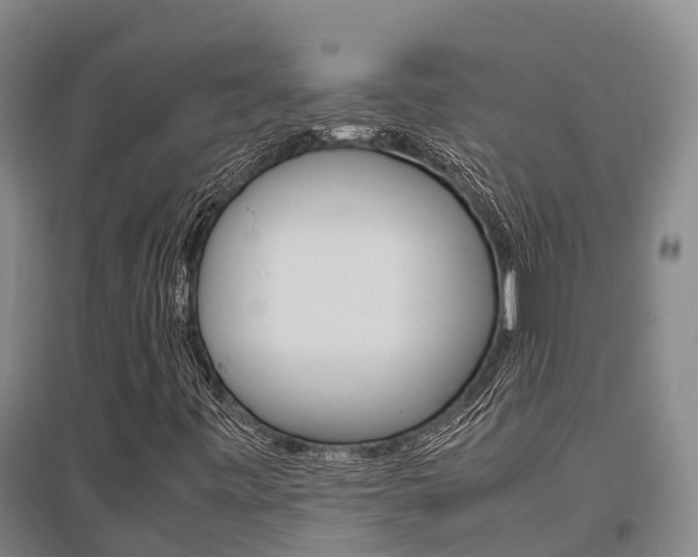 X0000095891443200801110817