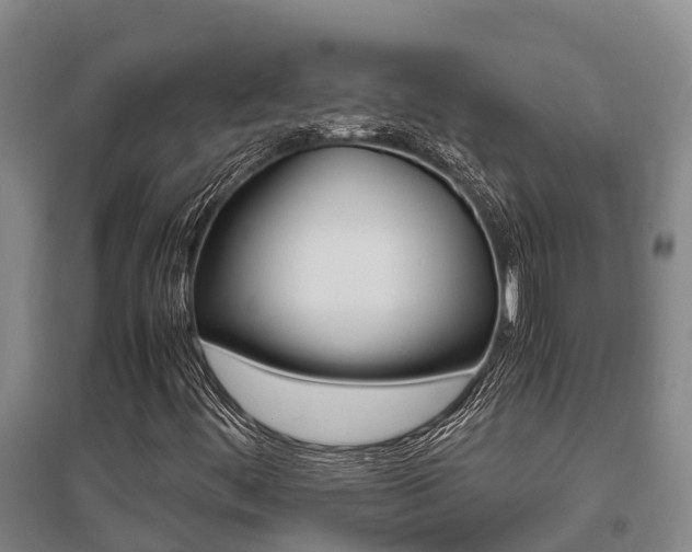 X0000095891444200801110817