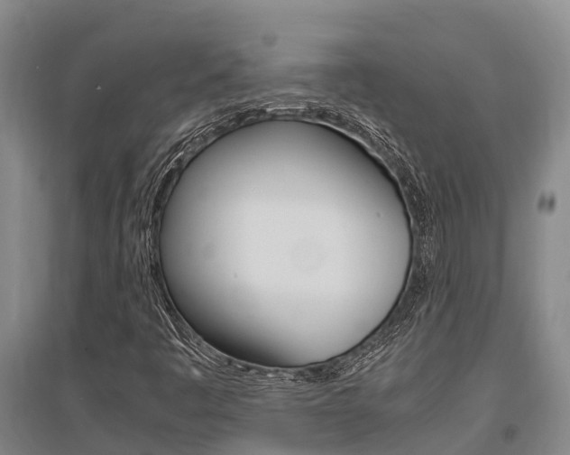 X0000095891445200801110817