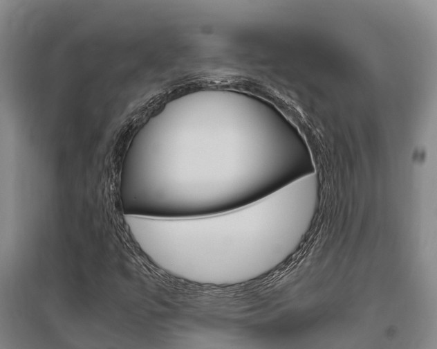 X0000095891447200801110817
