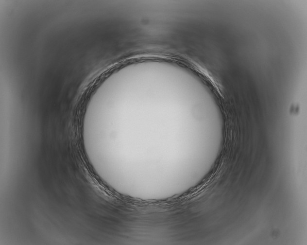 X0000095891448200801110817