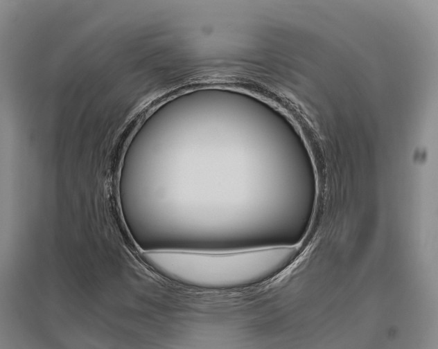 X0000095891449200801110817