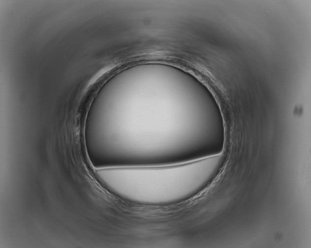 X0000095891450200801110817