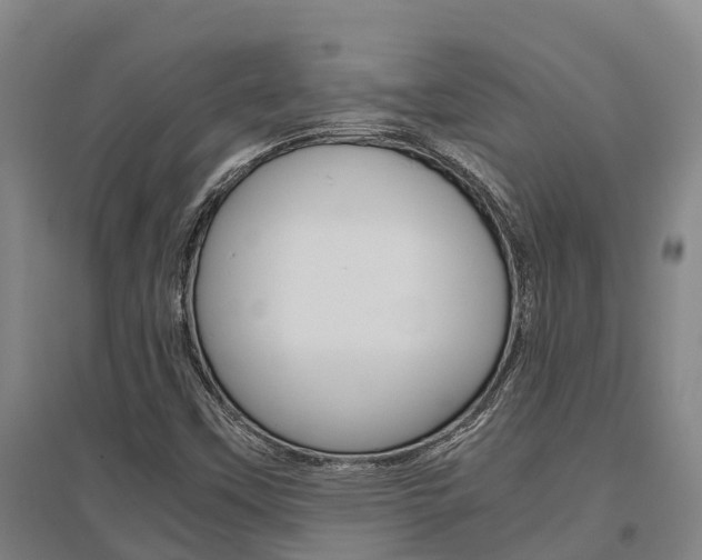 X0000095891451200801110817