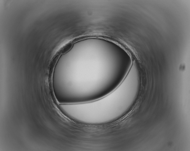 X0000095891452200801110817