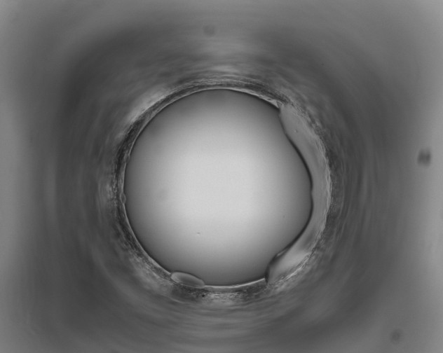 X0000095891453200801110817