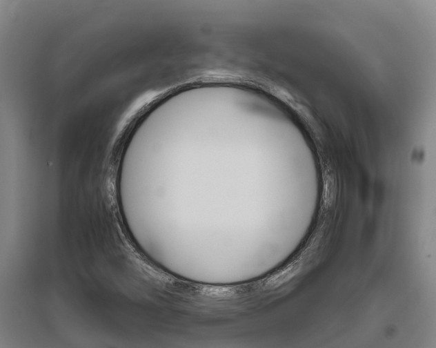 X0000095891454200801110817