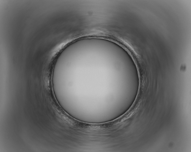 X0000095891455200801110817