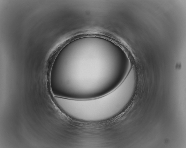 X0000095891456200801110817