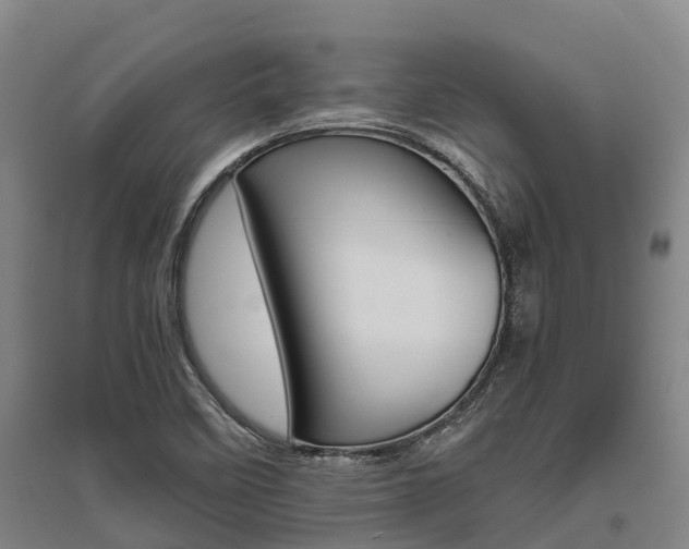 X0000095891458200801110817