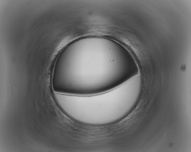 X0000095891459200801110817