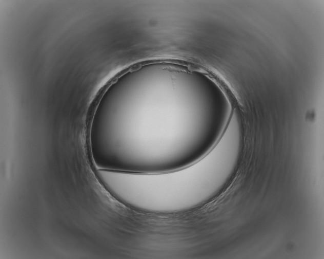 X0000095891460200801110817