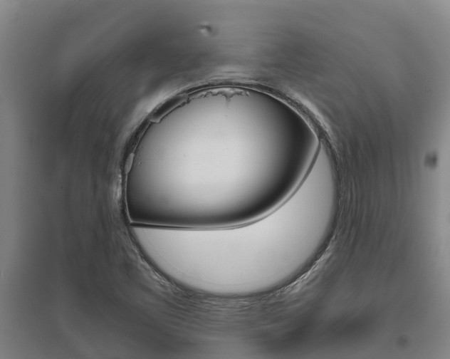 X0000095891461200801110817