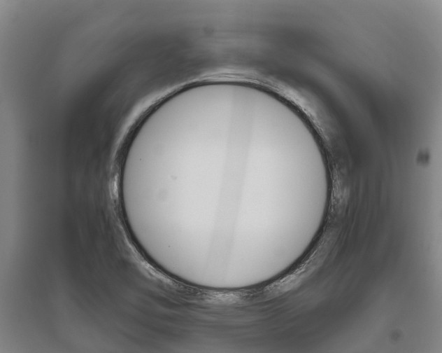 X0000095891462200801110817
